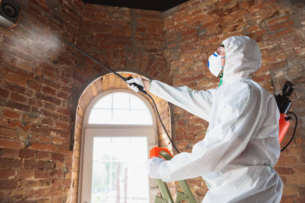 Best Residential Mold Inspection & Testing  in Reminderville, OH